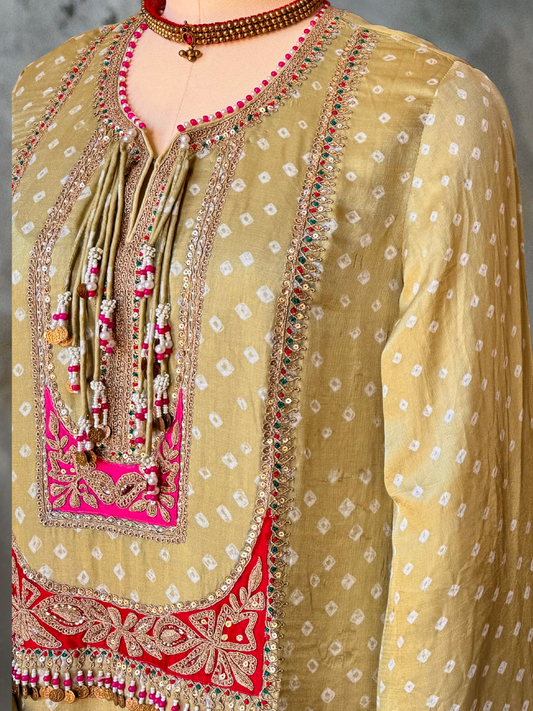 BANDHEJ SILK HAND EMBROIDERED CHOGA SUIT
