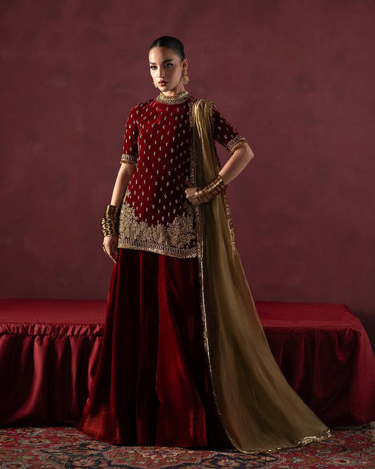 RED AND GOLD EMBROIDERED VELVET SHARARA